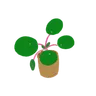 Profilbild von Grassdener